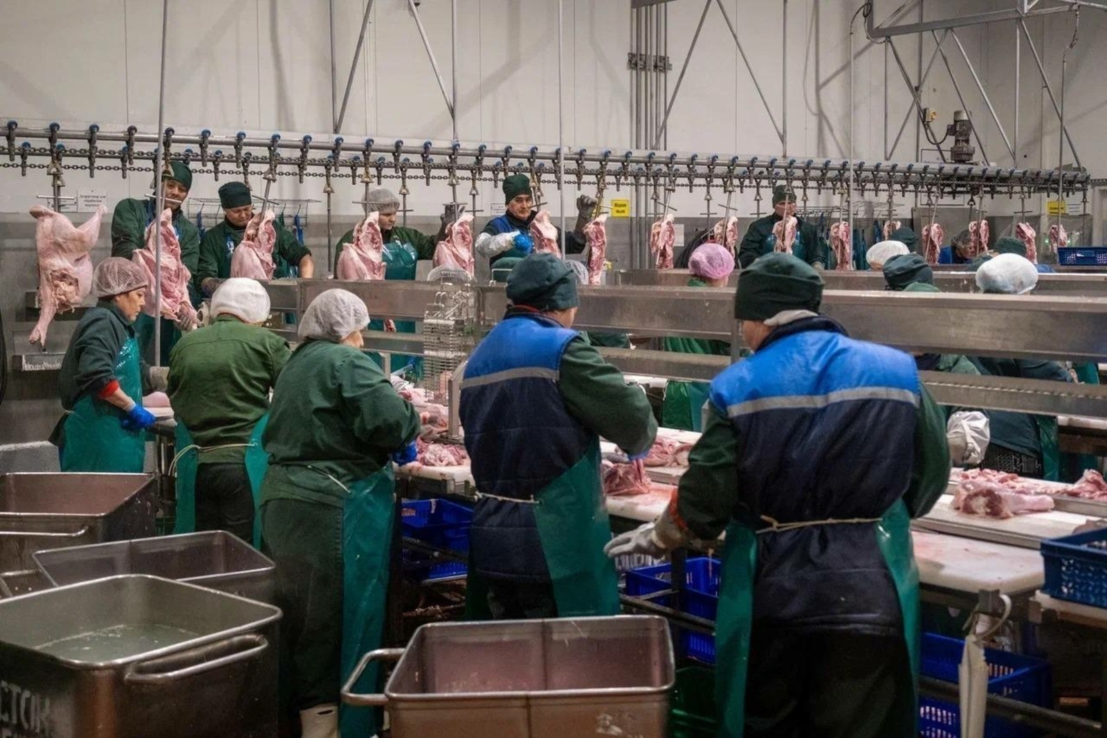 Индейку из Башкирии экспортировали в Конго и Азербайджан