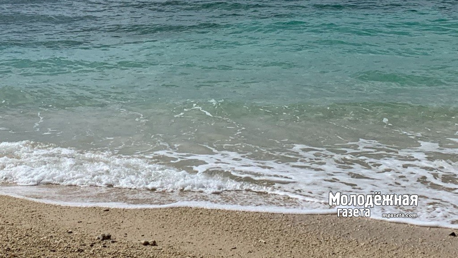 Жителям Башкирии рассказали, как получить путевку в «Артек»