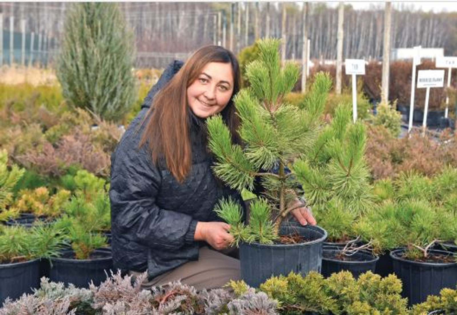 В питомнике жительницы Туймазинского района более 3 тысяч растений