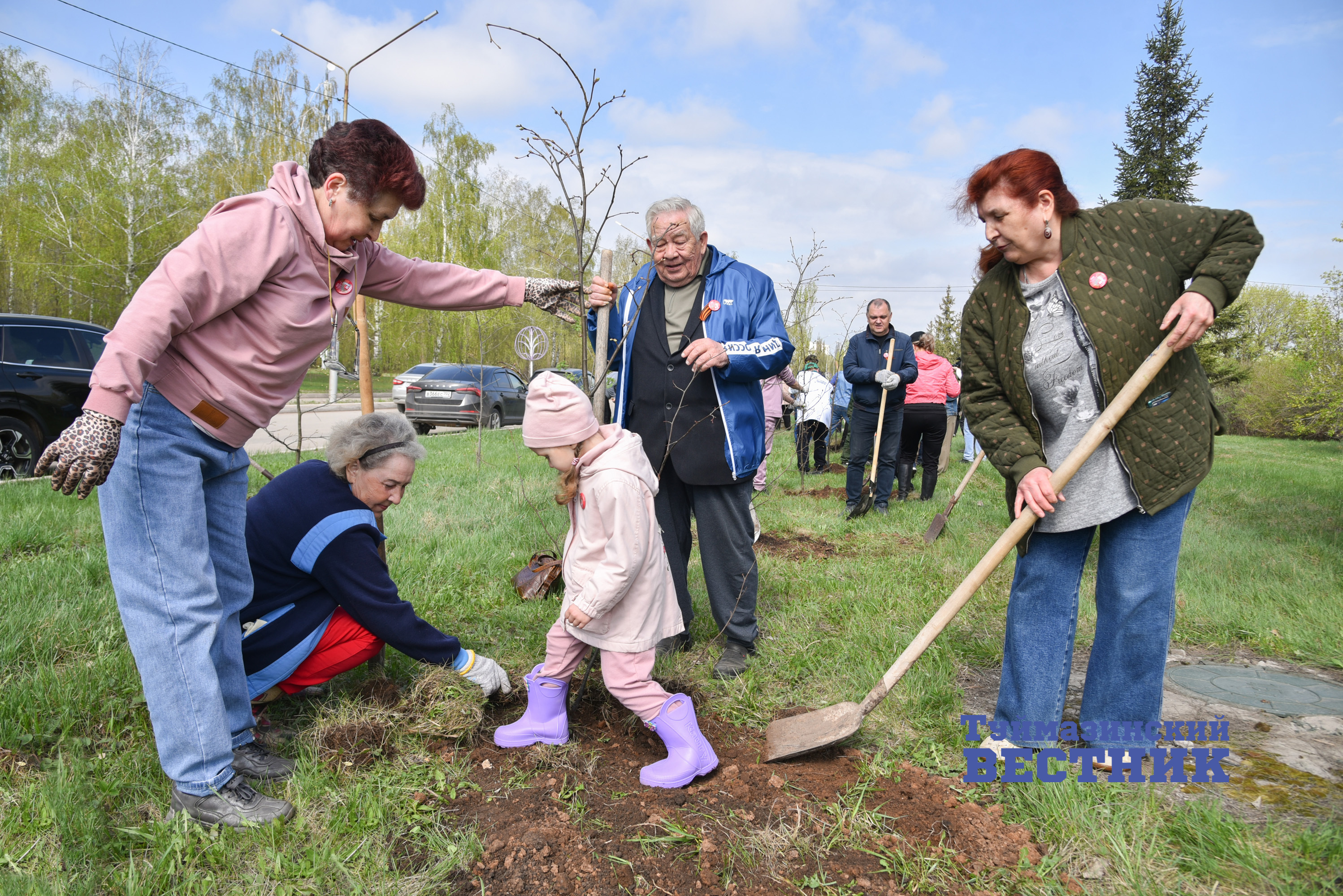В Туймазинском районе высадили почти полторы тысячи деревьев и кустарников