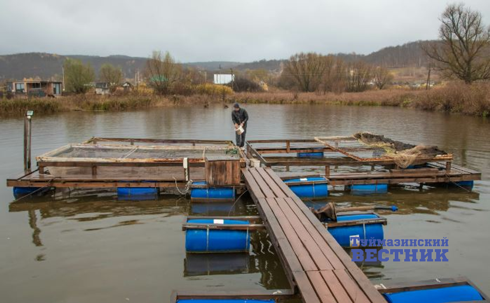 Продукция фермерское хозяйства из Туймазов стала обладателем Гран-при