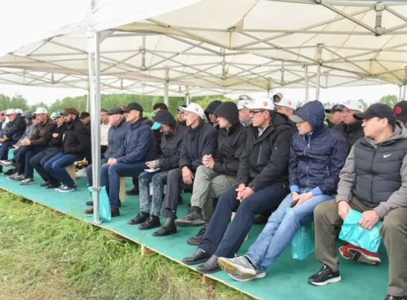 В Туймазинском районе возделывают озимый рапс