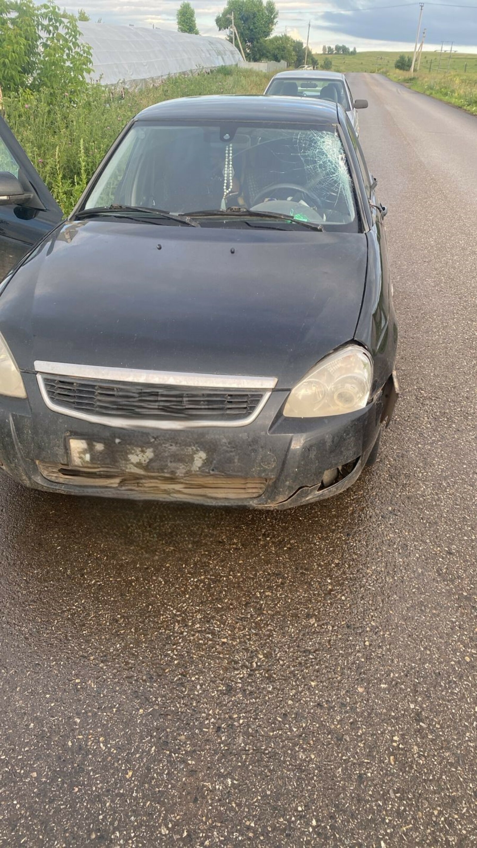 В Туймазах пьяный водитель наехал на работника тепличного хозяйства