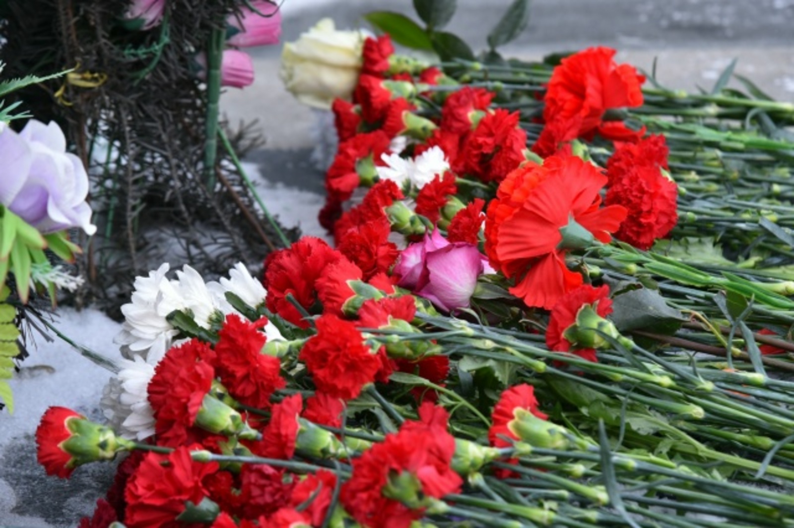 В Туймазах почтили память воинов-интернационалистов