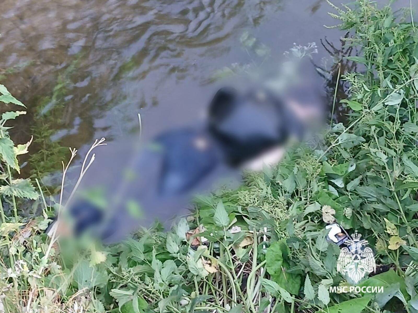 В Башкирии из воды извлекли тела мужчины и женщины