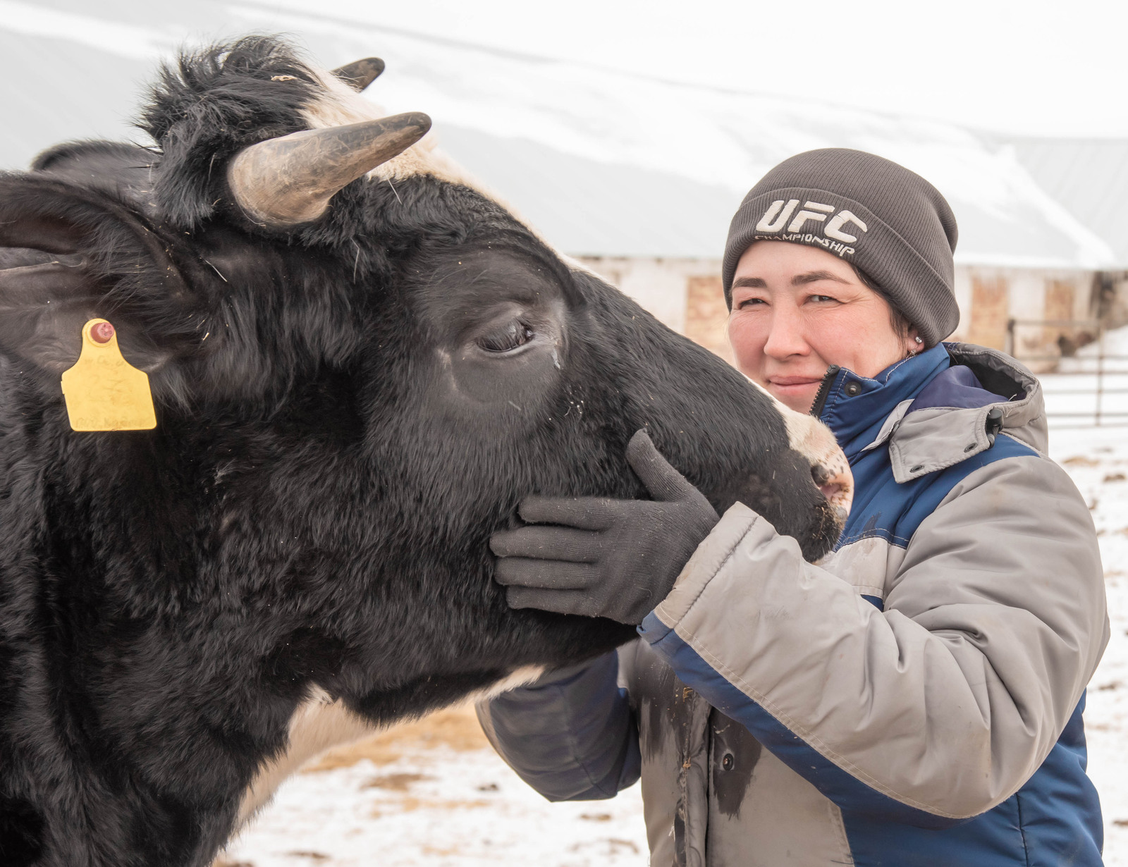 Жители Туймазинского района посвятили себя животноводству
