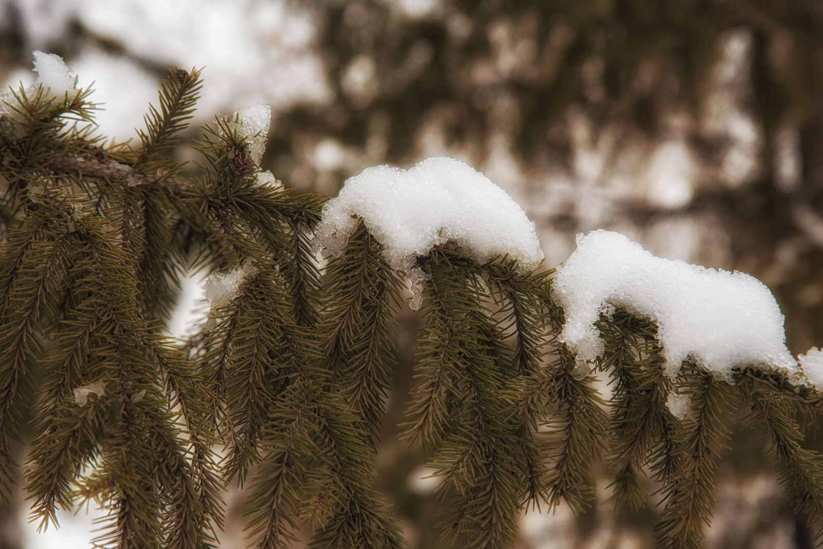 Синоптики дали подробный прогноз погоды на январь