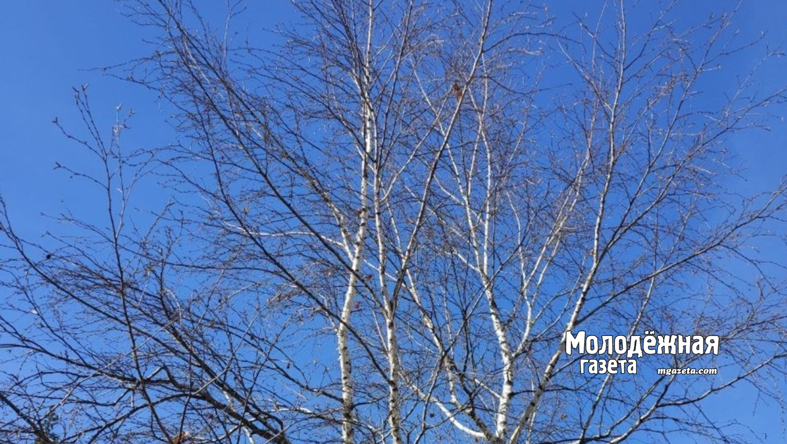 «Стать героем — это выбор»: в кадетский корпус Башкирии открыт набор