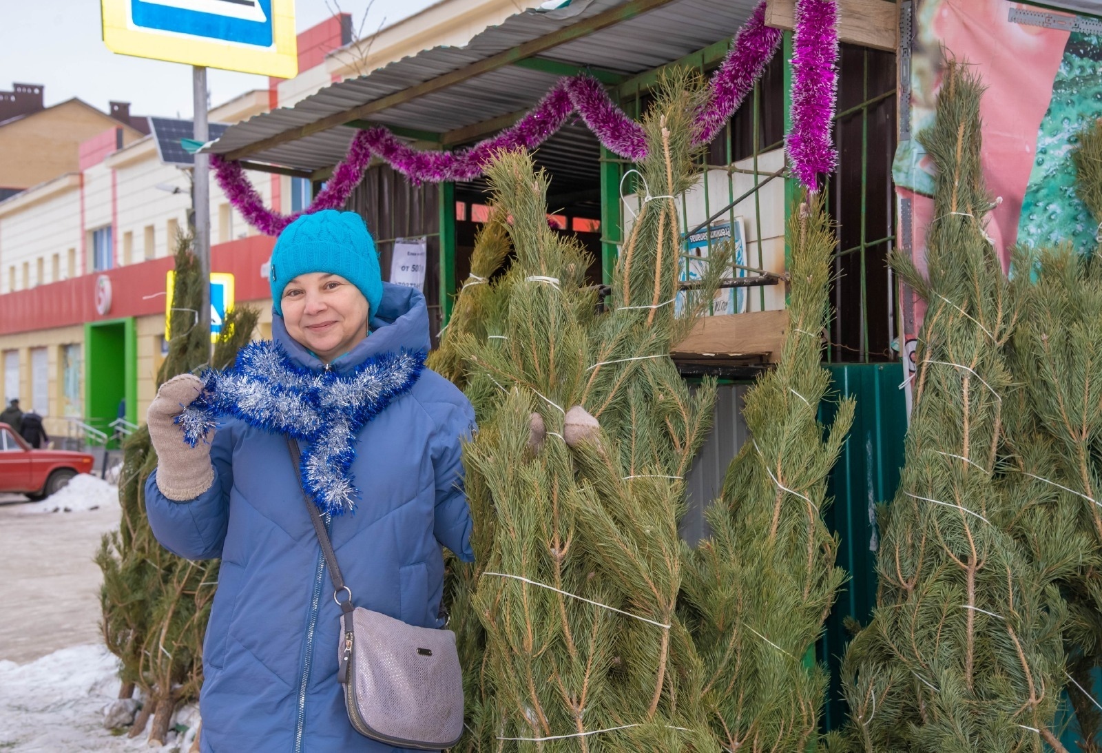 В Туймазах начинается операция для предотвращения незаконной вырубки елей
