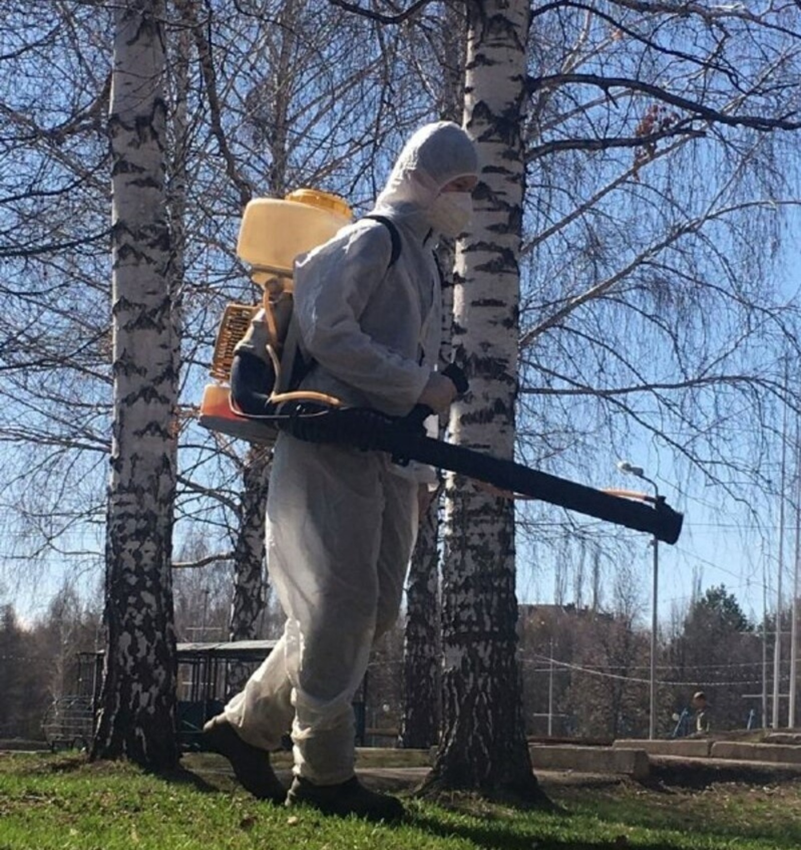 В Башкирии почти 8 тысяч человек пострадали от клещей