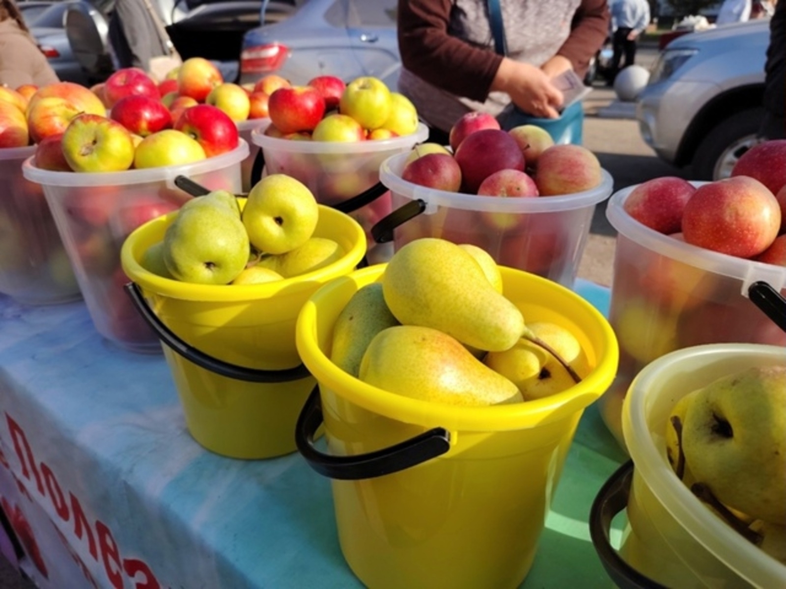 Жителей Туймазинского района ждут на сельхозярмарках