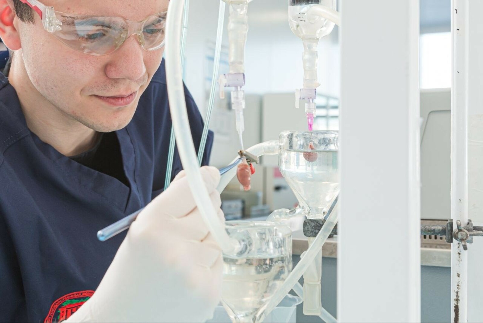 В Уфе ученые создали молекулу с уникальным действием для лечения инфаркта