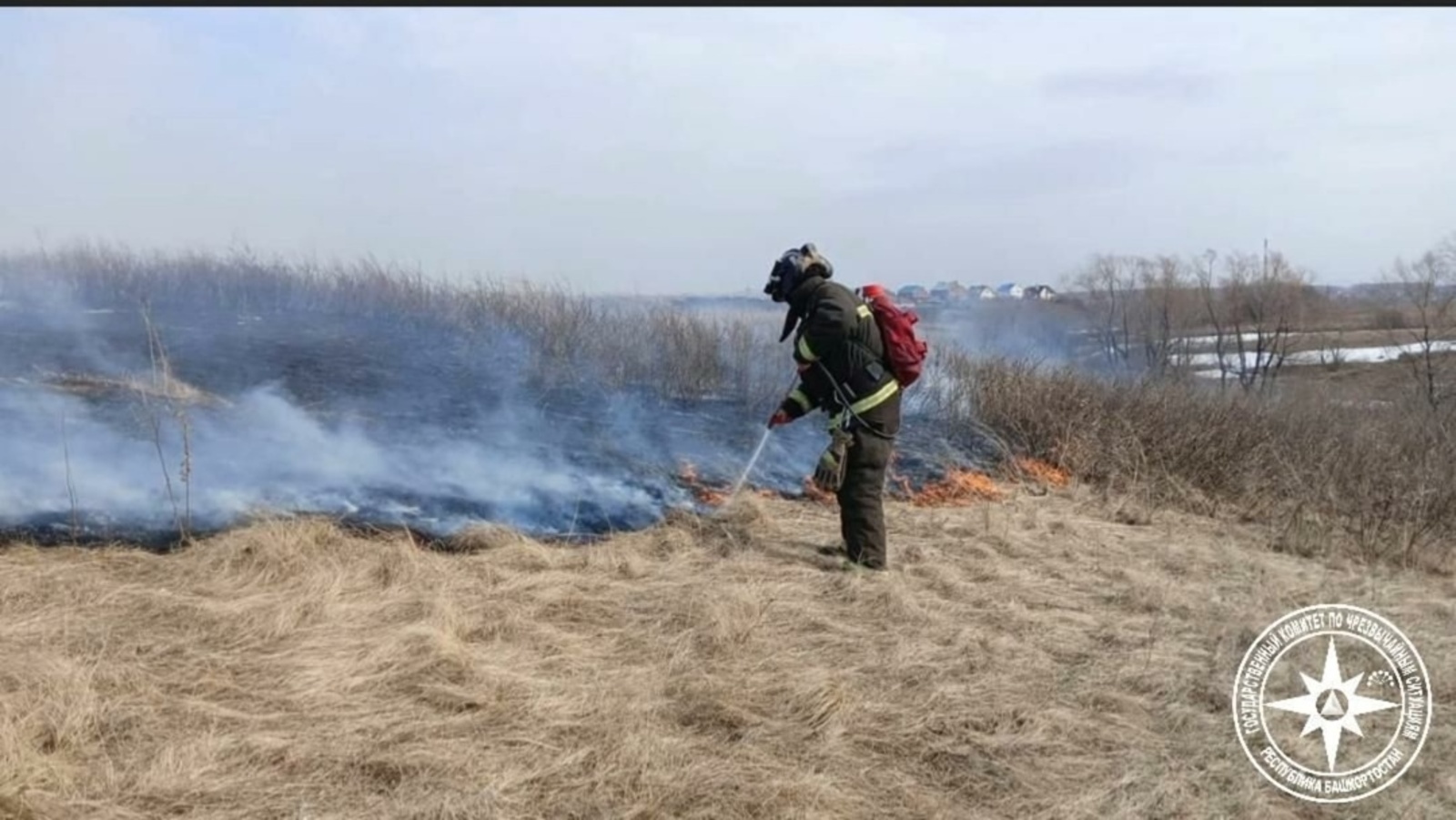В Башкирии причиной большинства лесных пожаров стала людская беспечность