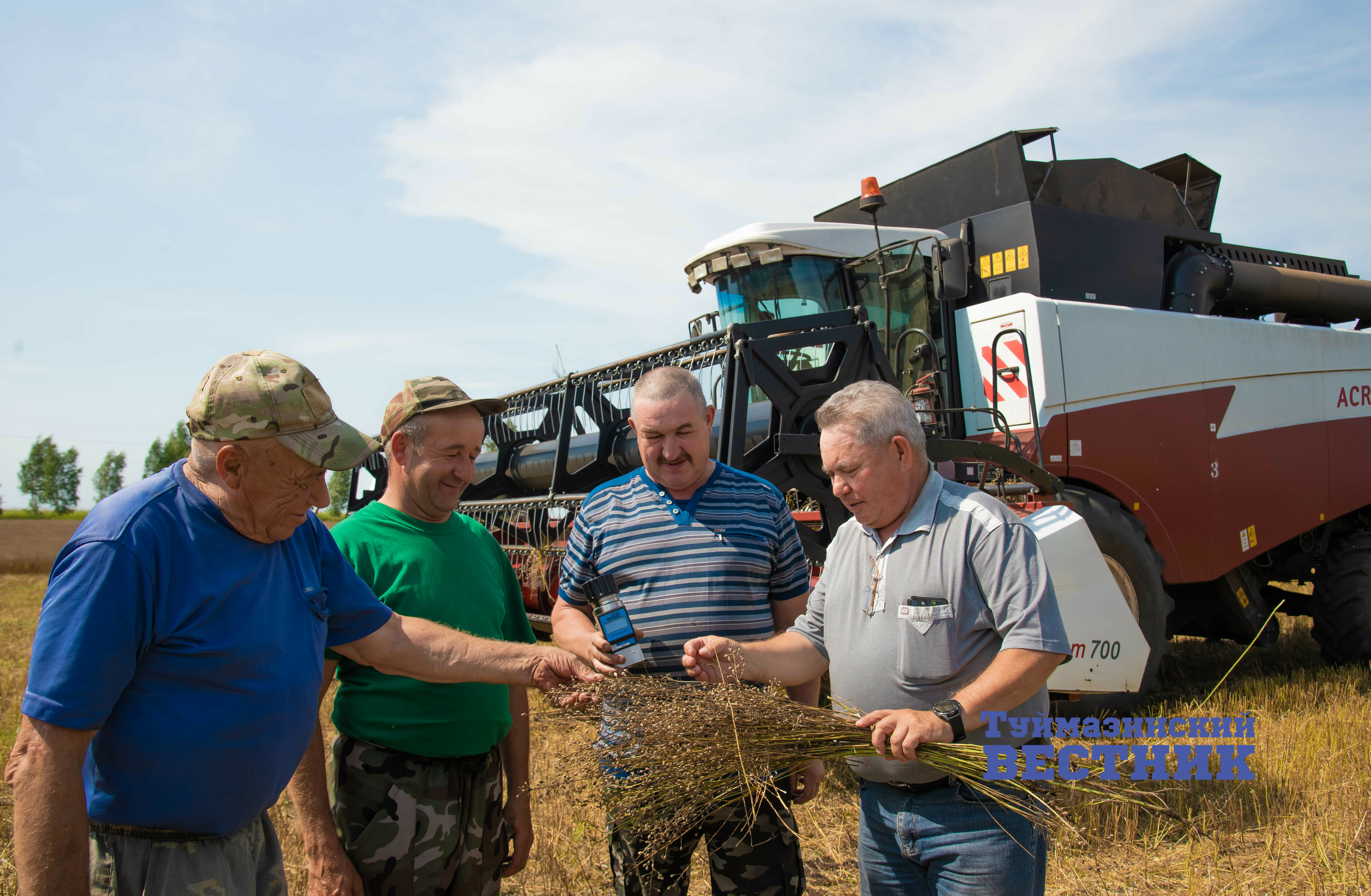 В Башкирии аграрии убирают рыжик