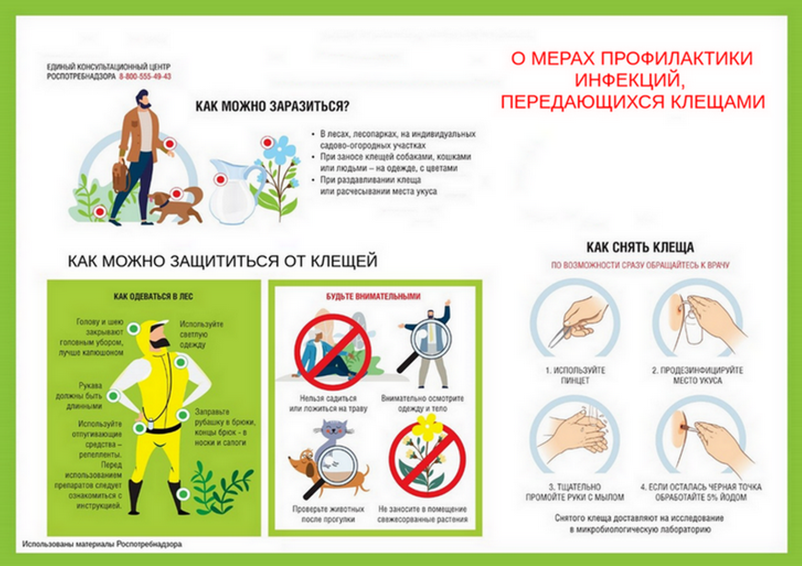 В Туймазинском районе есть пострадавшие от укуса клещами