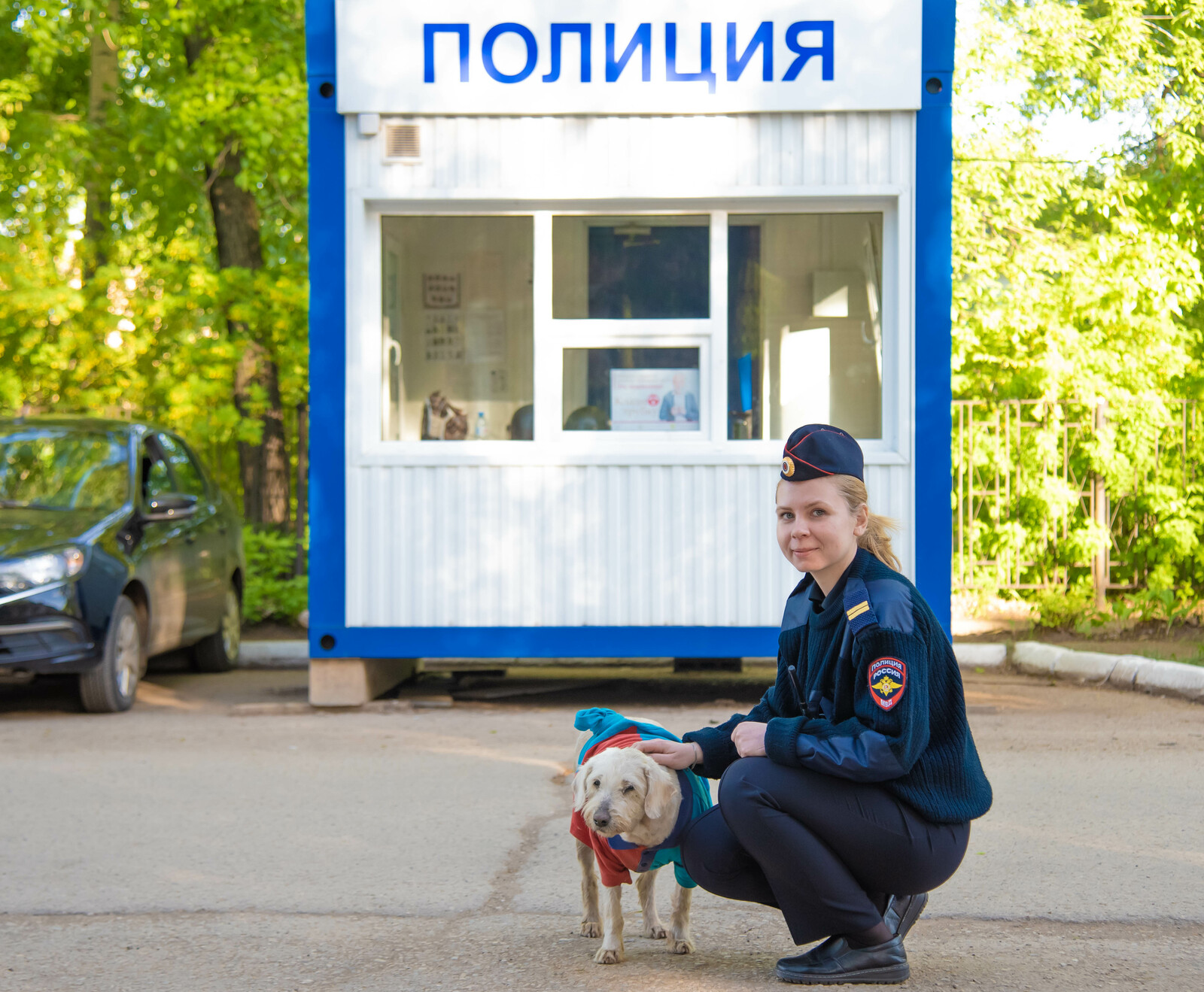В Туймазах собака три года ждет хозяина около военкомата