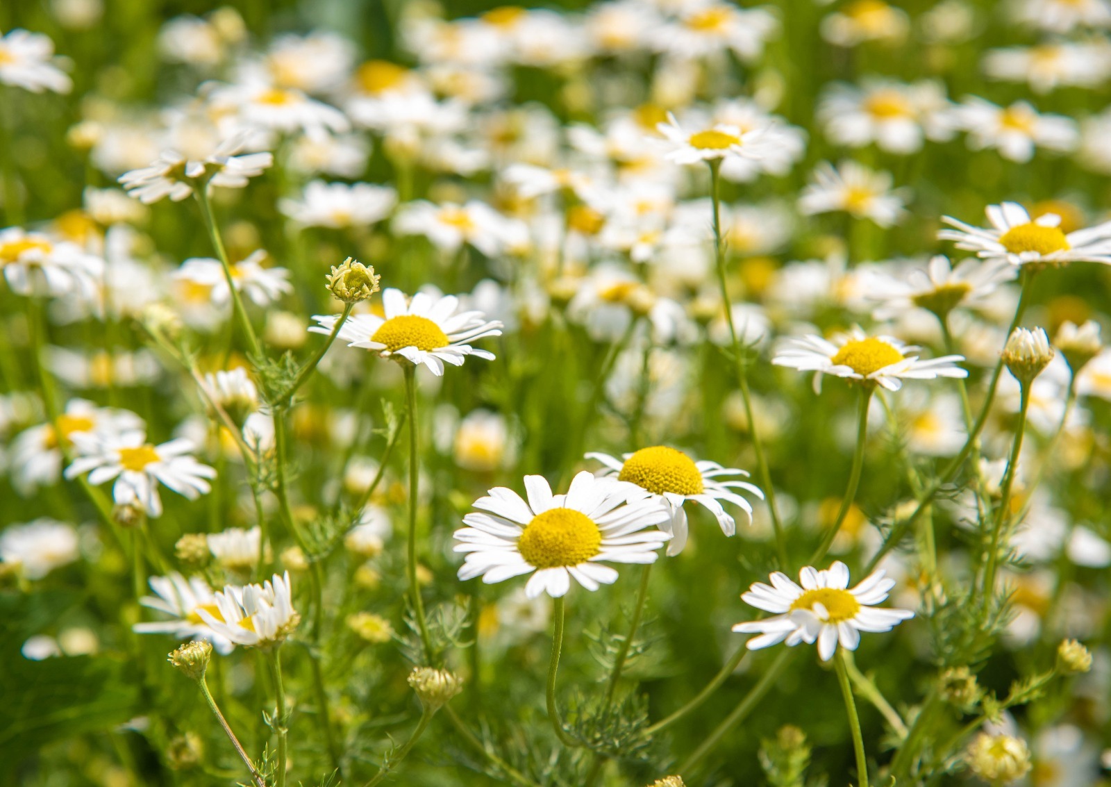 В Башкирию придут дожди и похолодание