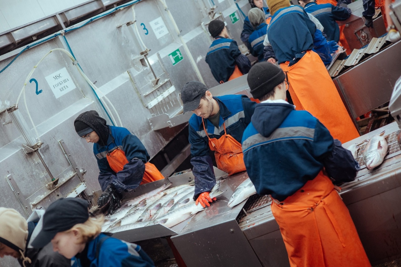 фото взято со страницы Туймазинского юридического колледжа в соцсетях Студенты из Башкирии работают на берегу Тихого океана