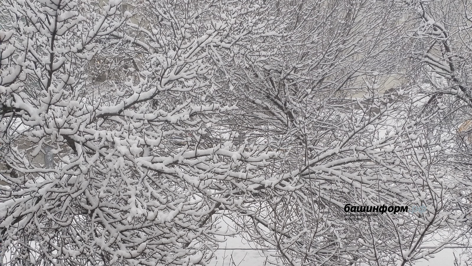 МЧС Башкирии предупреждает об ухудшении погодных условий