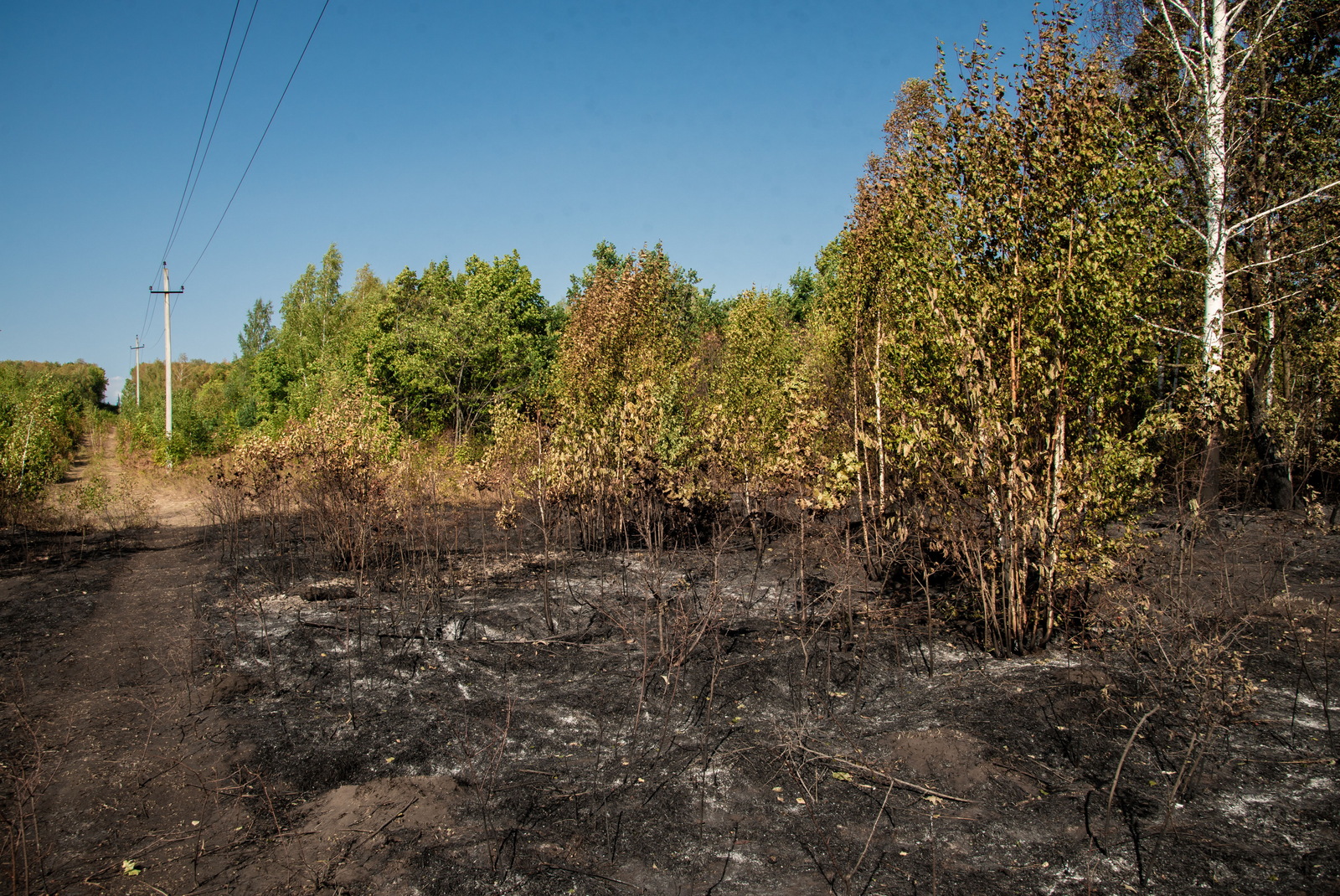 Какие меры профилактики пожаров предпринимаются в Башкирии?