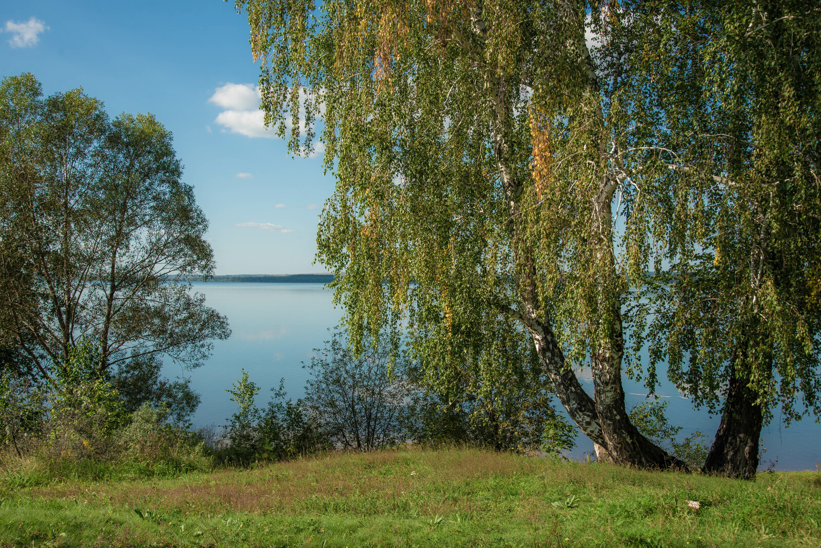 В Башкирии сегодня стартует «Марафон зеленых дел»
