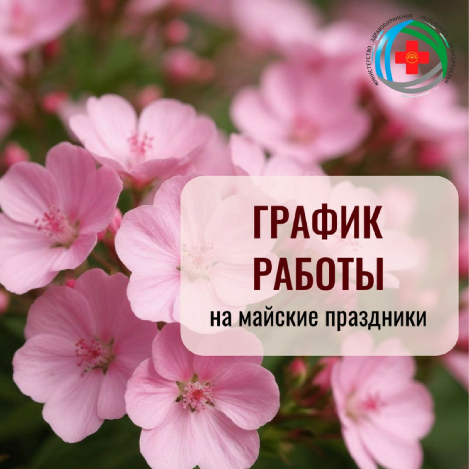 График работы медучреждений Башкирии в майские выходные