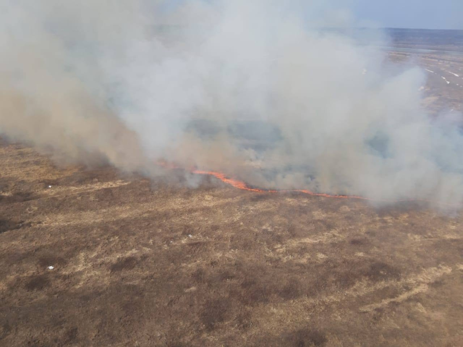 В Башкирии за два месяца произошло 60 лесных пожаров