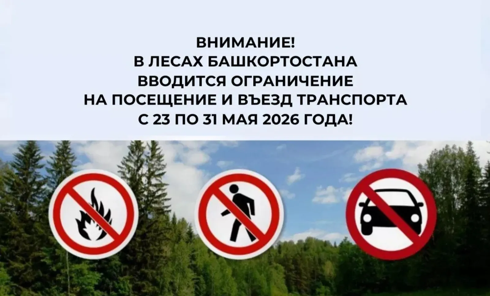 В лесах Башкирии вводится ограничение на посещение и въезд транспорта с 23 мая