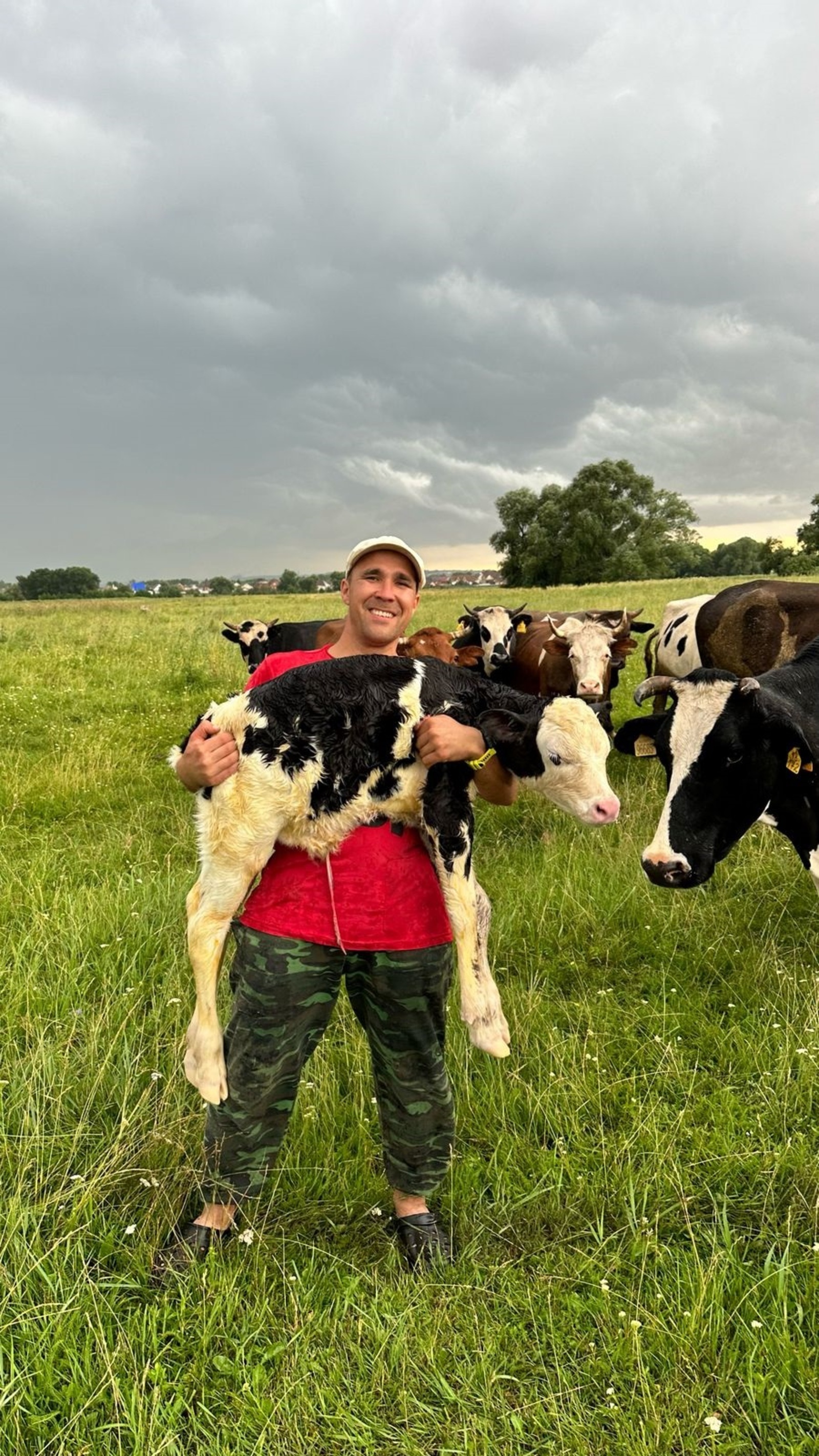 В Башкирии животноводам возместят затраты на геномную селекцию