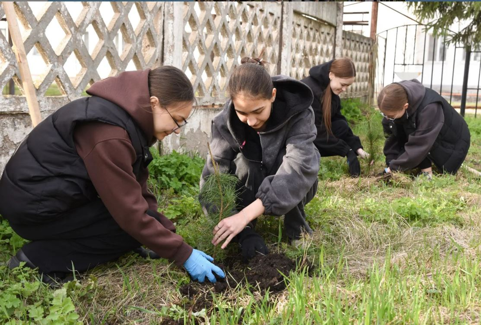 В Туймазах студенты медколледжа посадили кедры