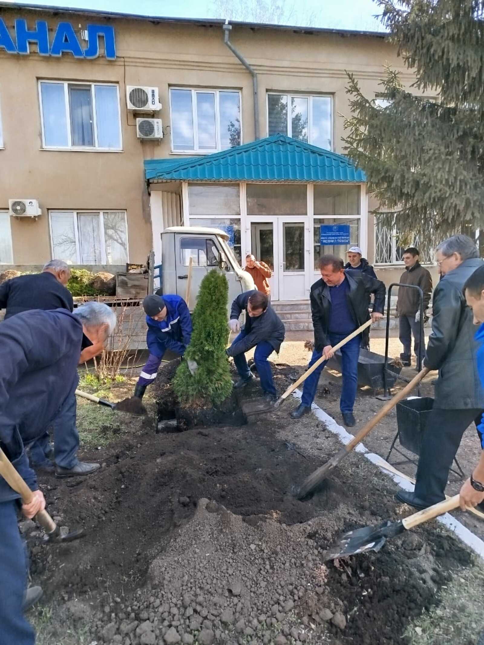В Туймазах сотрудники «Водоканала» посадили туи