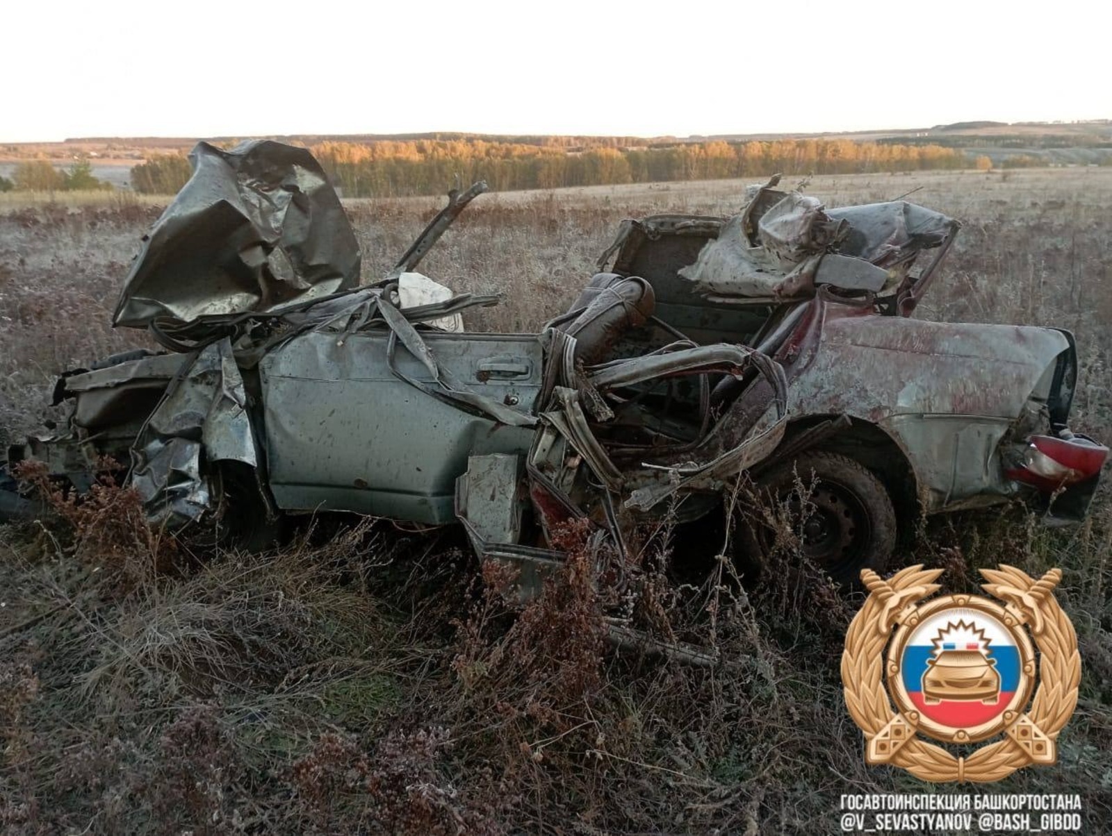 В Башкирии три человека погибли в ДТП с лошадью