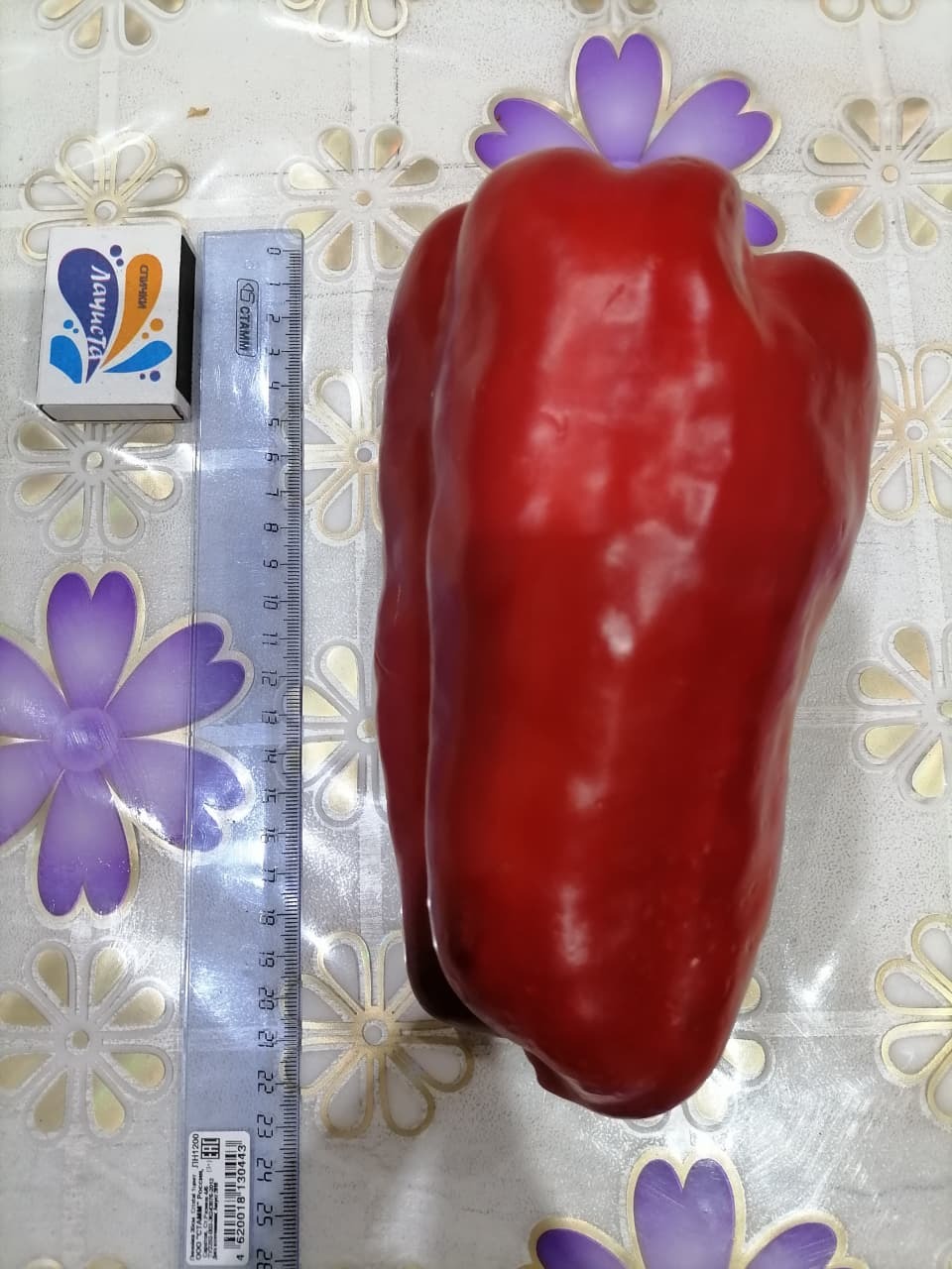 Жительница Туймазов вырастила огромный перец