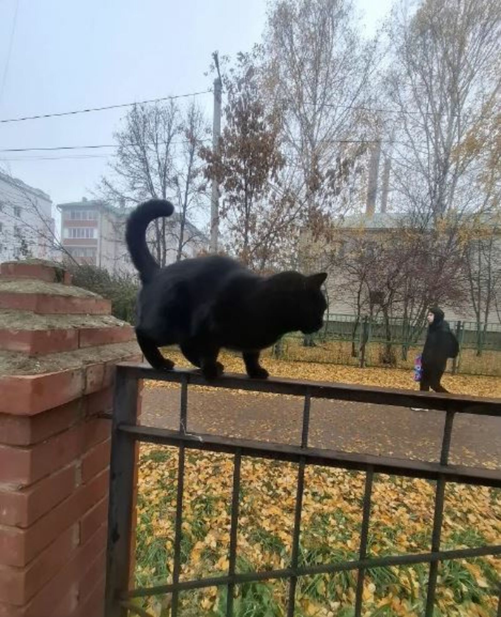 В Туймазах посоветовали, как провести пятницу 13 марта