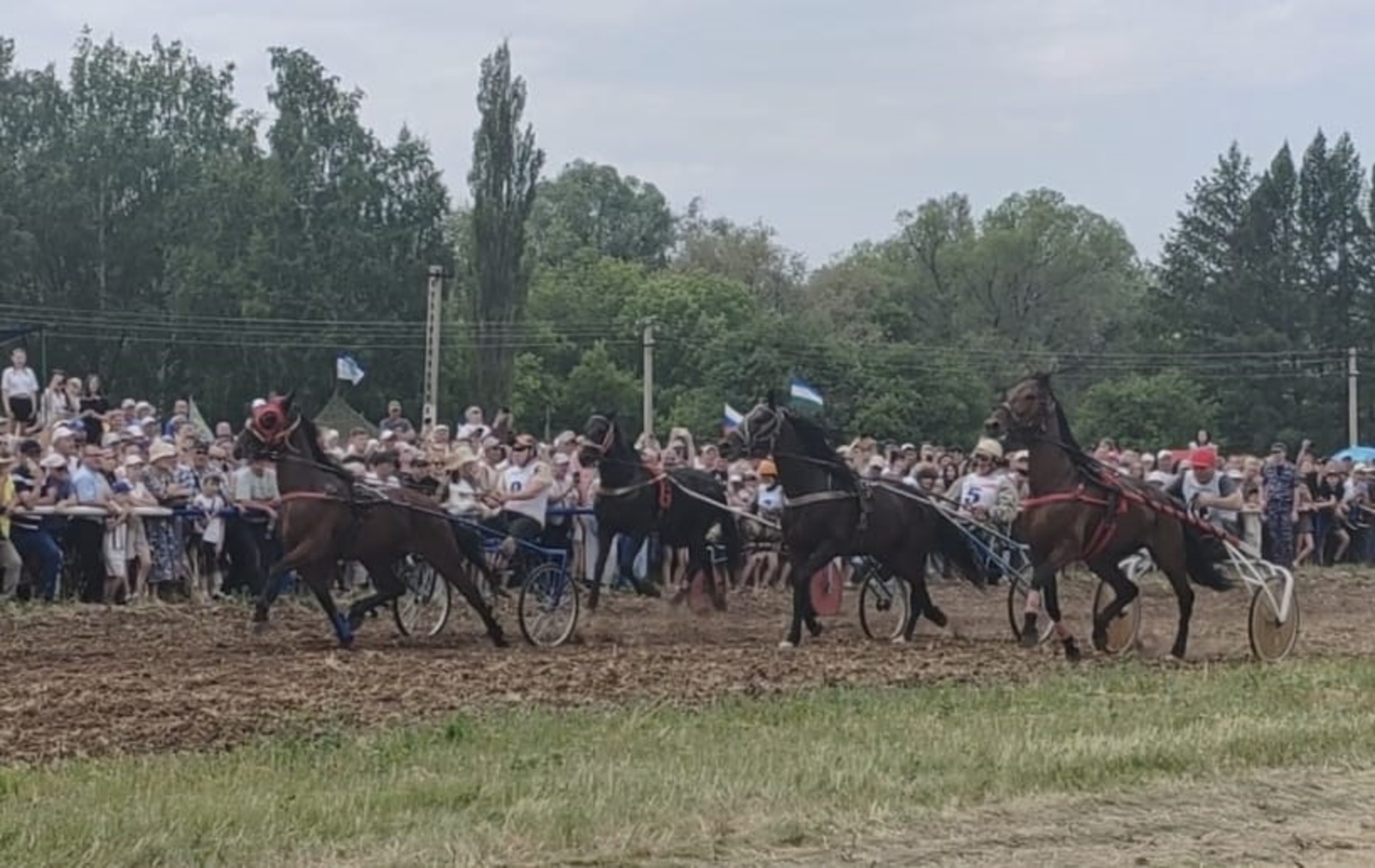 В Туймазах на Сабантуе прошли скачки