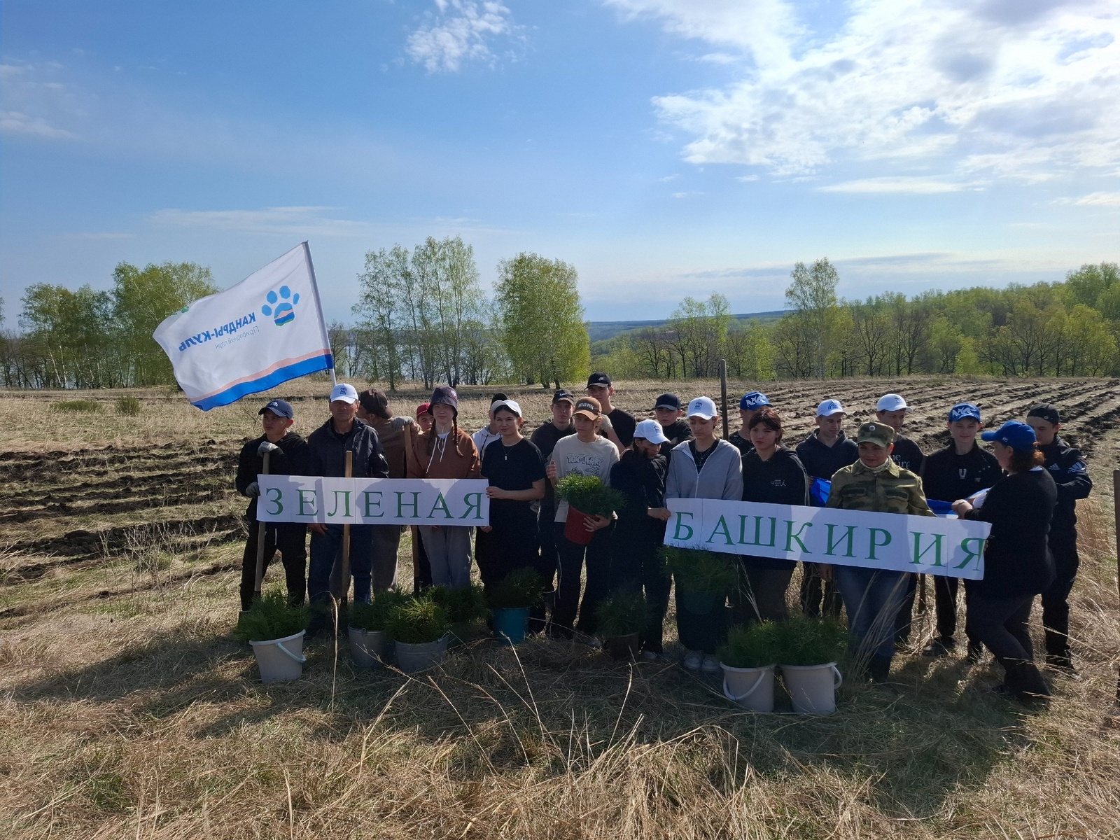 В Туймазинском районе на озере Кандрыкуль высадили 1000 саженцев сосны
