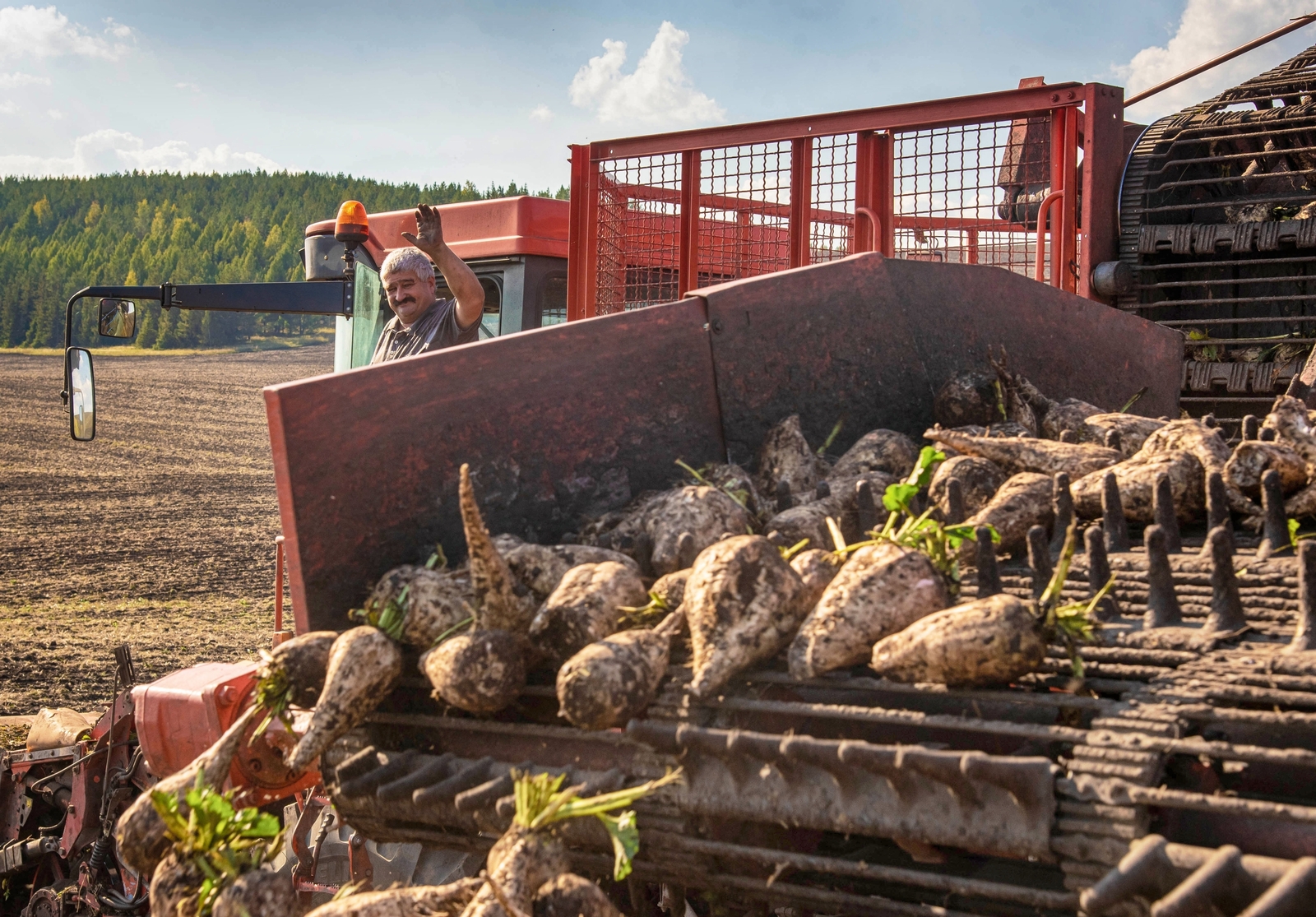 Башкирия отгрузила в Китай и Южную Корею 26 тысяч тонн свекловичного жома