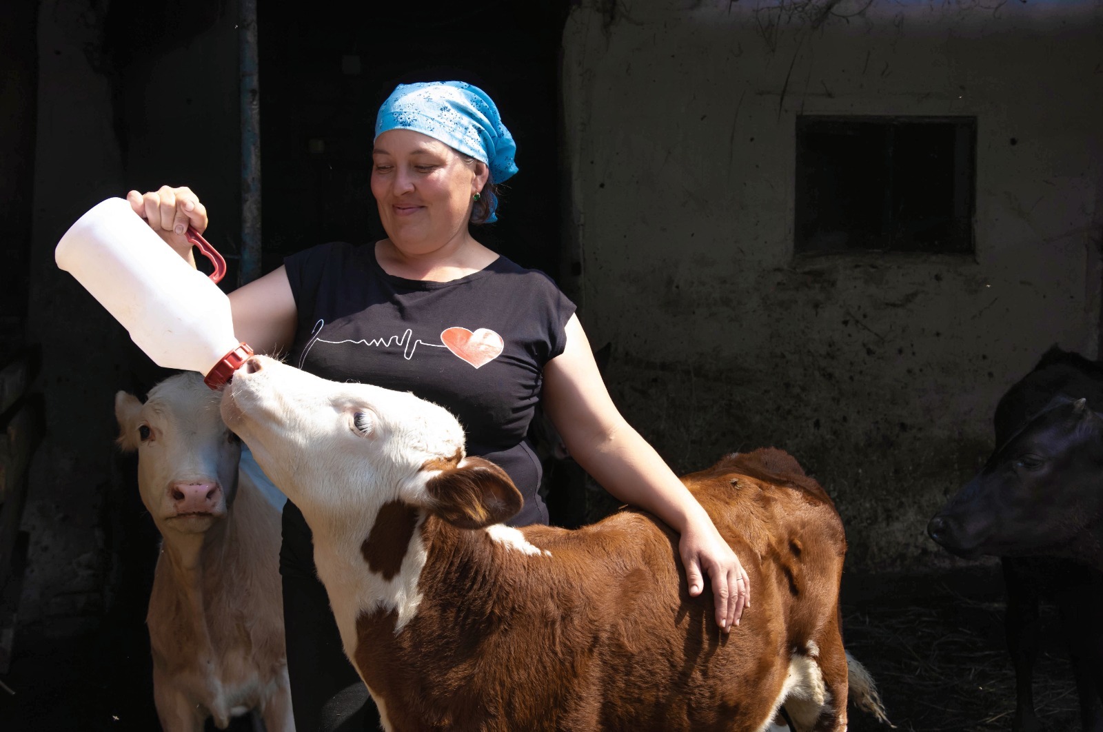 Многодетные супруги из Башкирии живут личным подсобных хозяйством