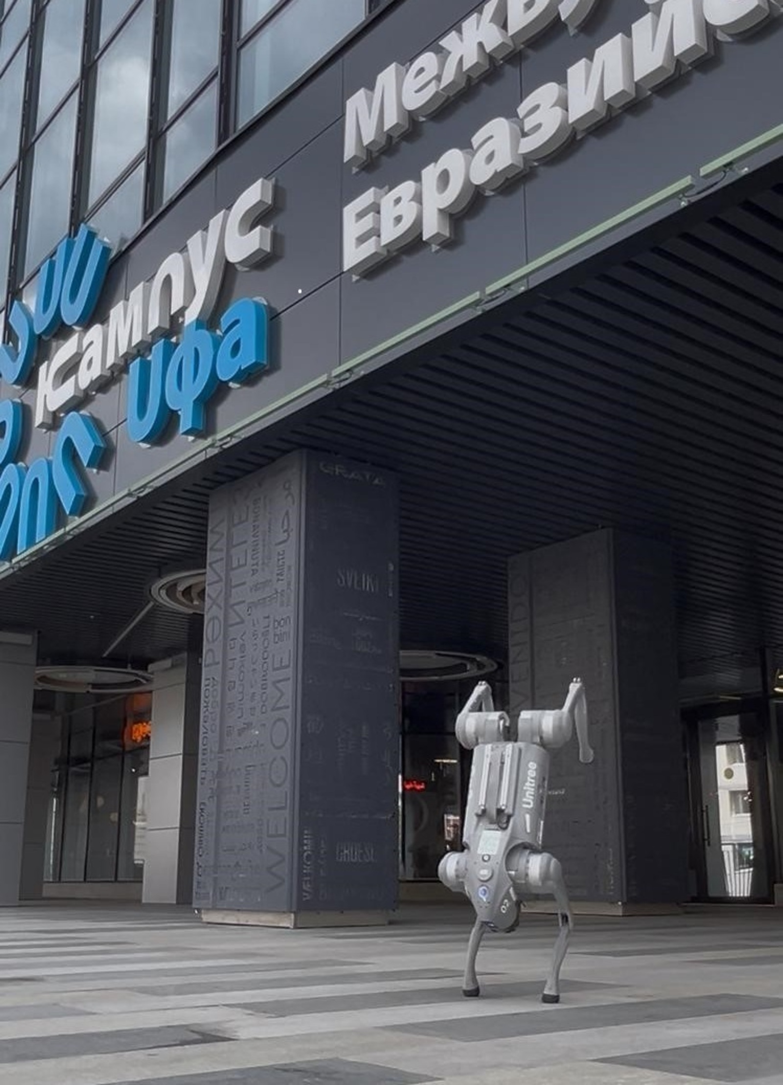 Робопес из Межвузовского кампуса станет участником Уфимского марафона