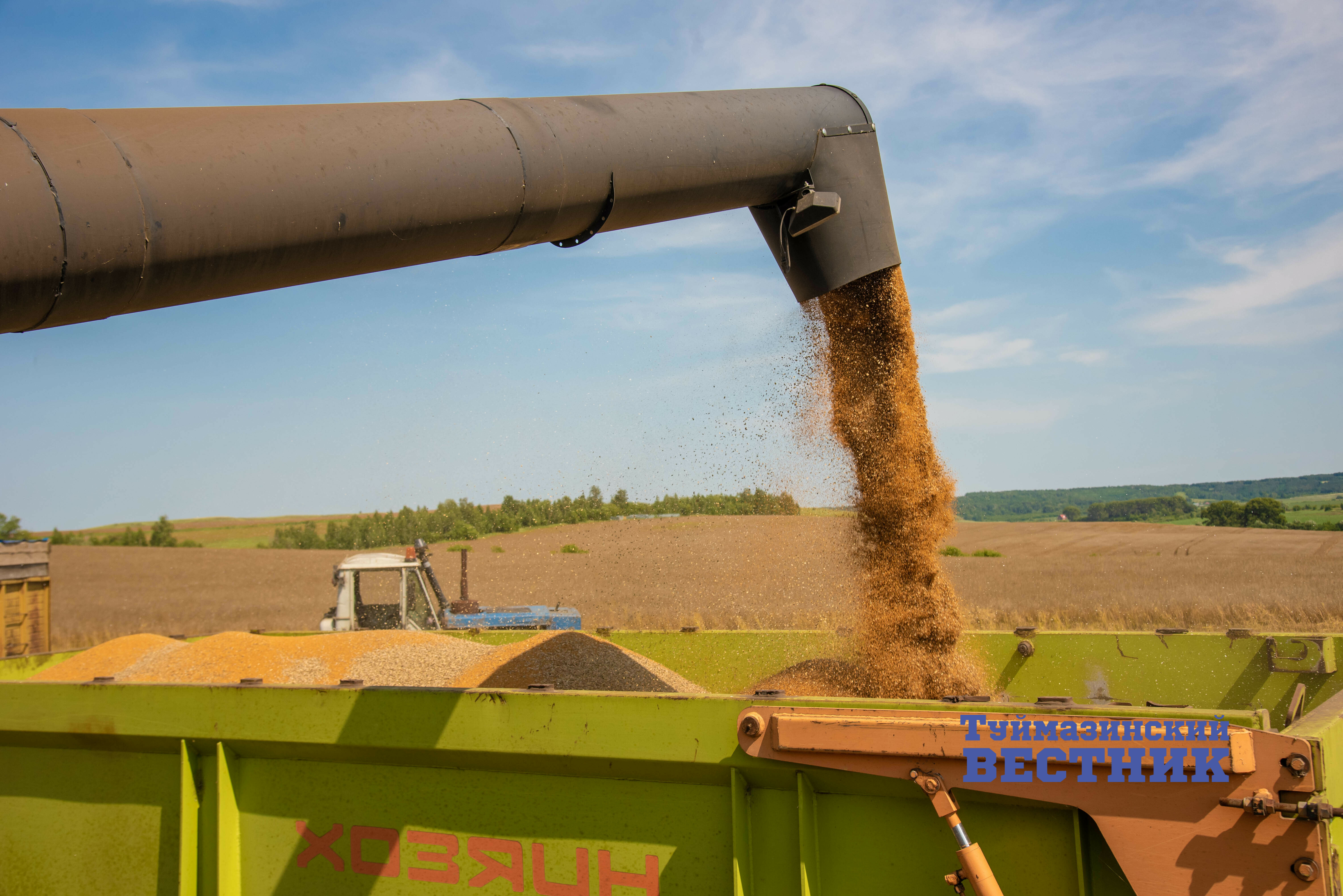 В Башкирии аграрии убирают рыжик