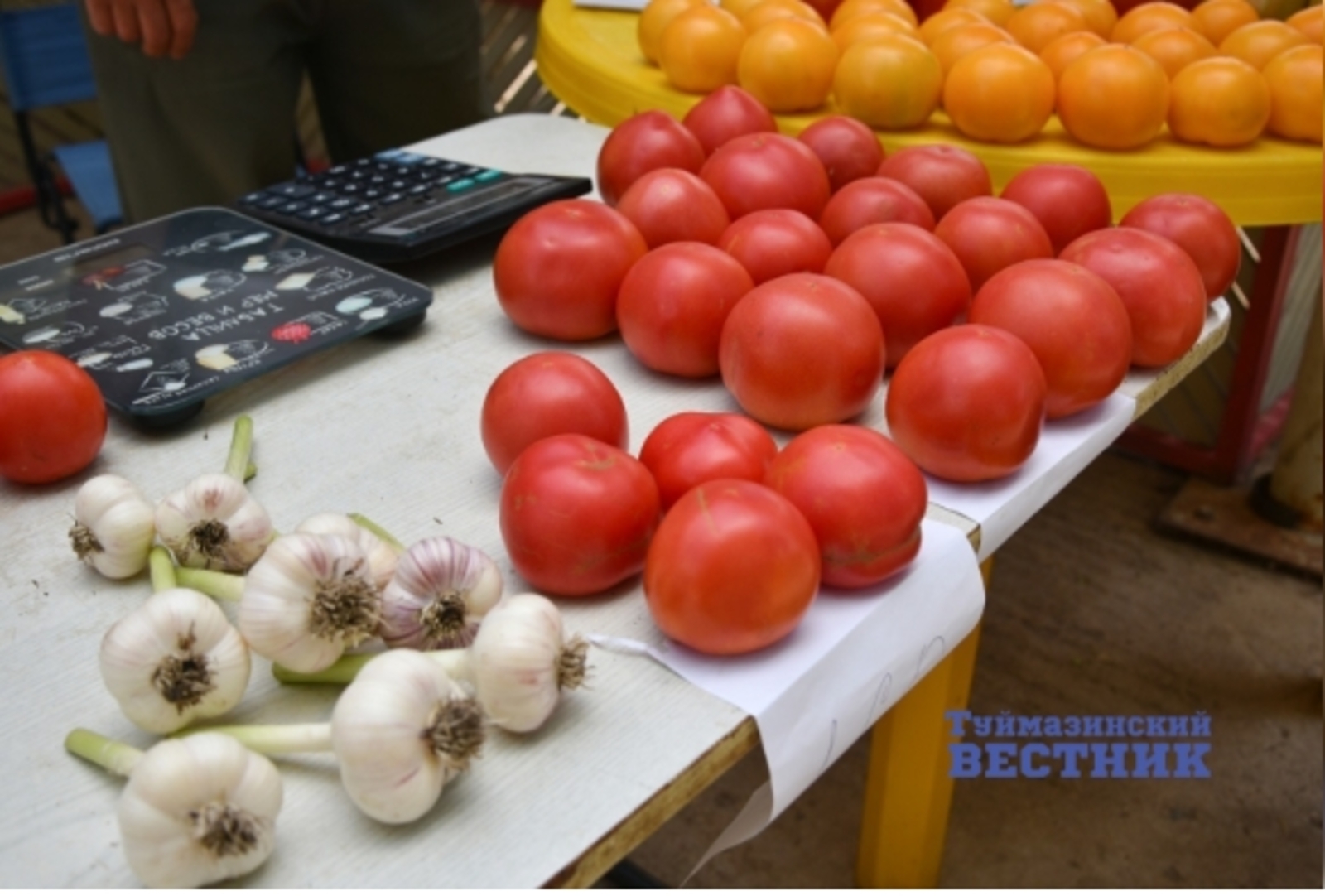 Хабиров раскритиковал торговые места для садоводов: как обстоят дела в Туймазах?