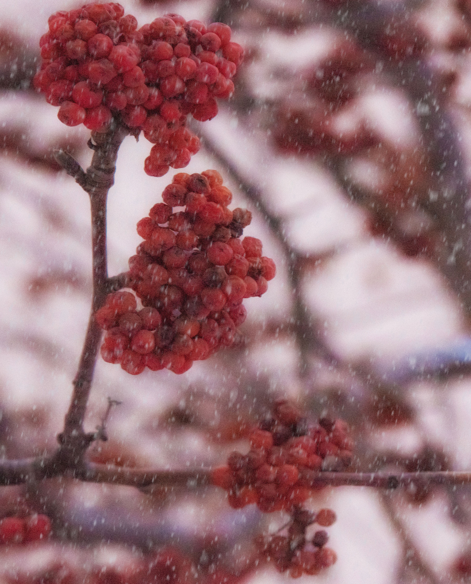 В Башкирии наконец начнется зима