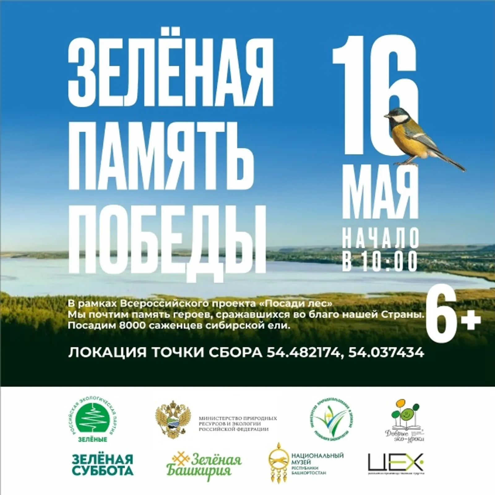 16 мая в природном парке «Кандры-куль» высадят 8000 саженцев сибирской ели