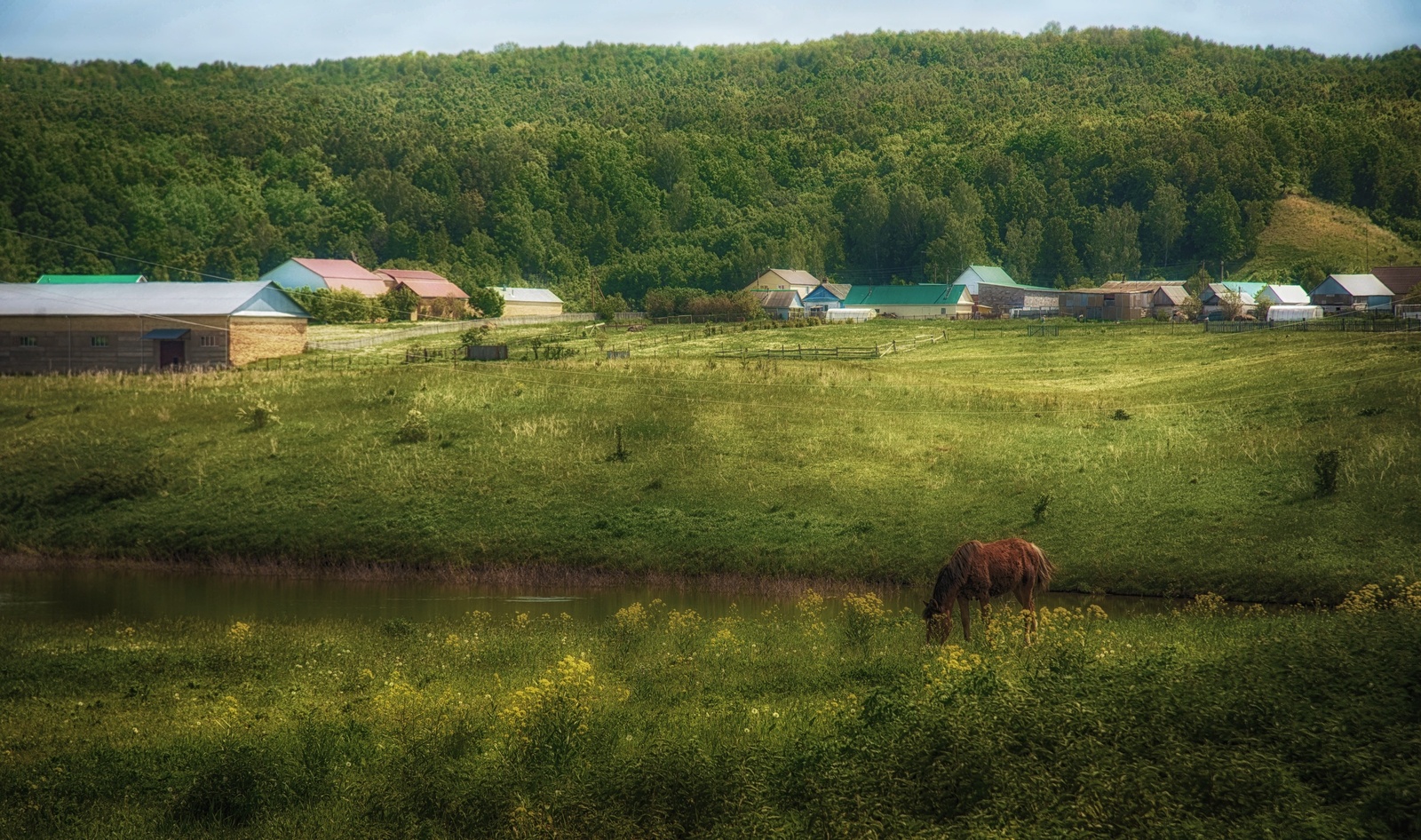 В Туймазах взрослые дети воюют за наследство родителей