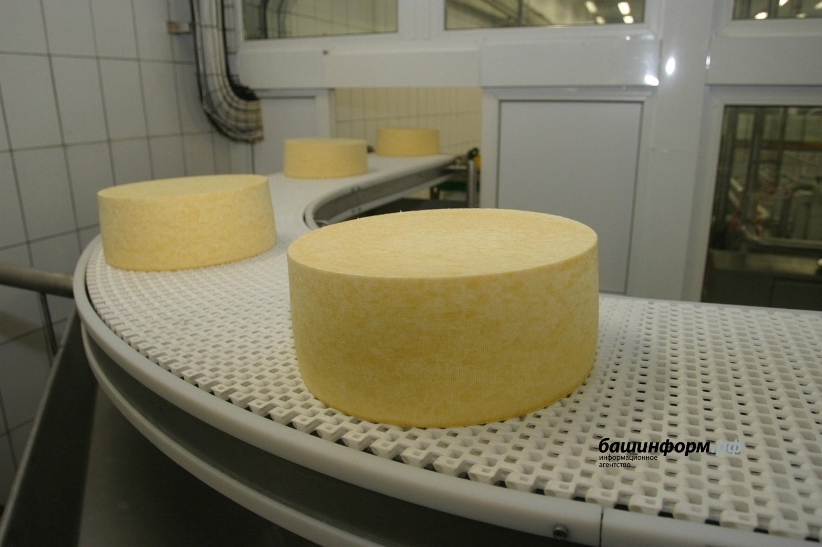 В Башкирии открылось производство мягких сыров