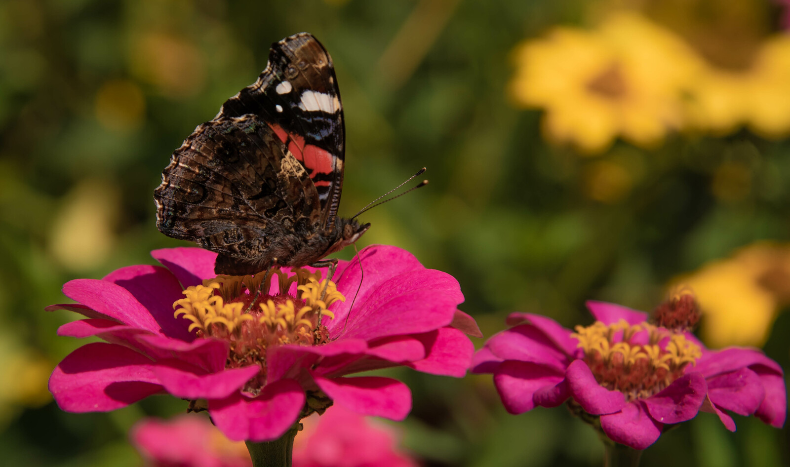 Стало известно, какой будет погода в Башкирии в ближайшие дни