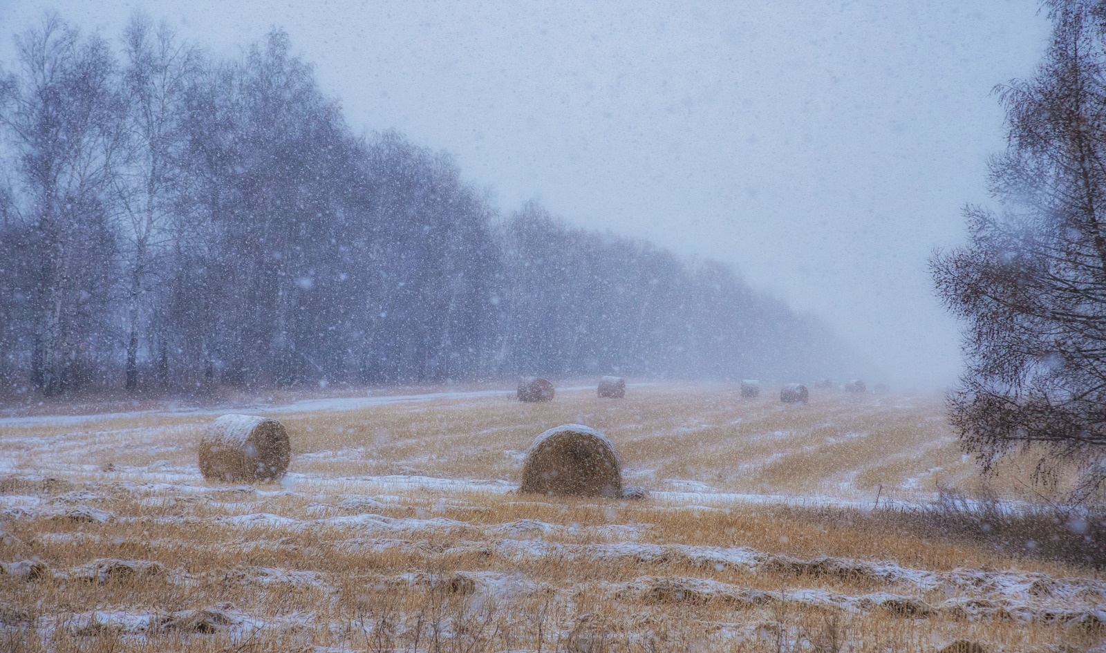 Жителей Башкирии предупредили о приближении шквалистого ветра и метели