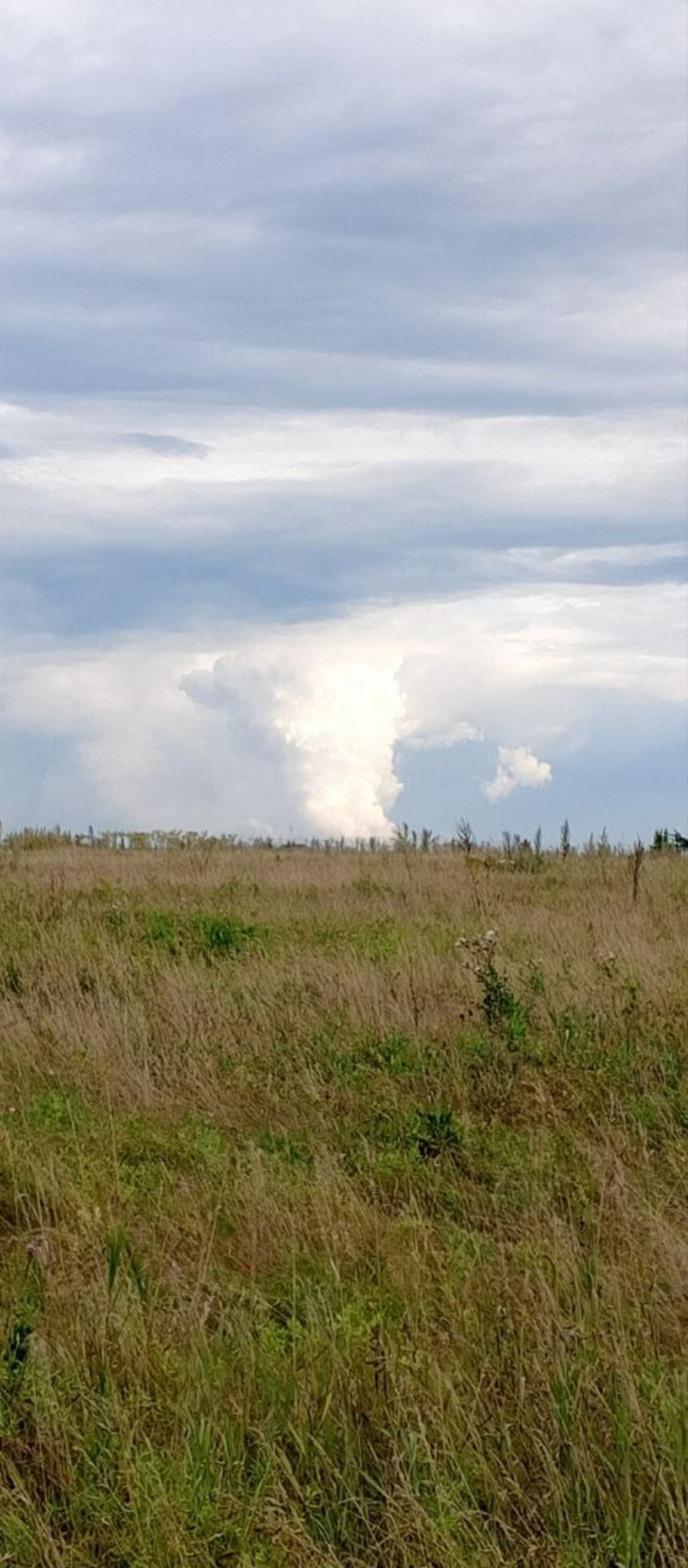 В Башкирии эксперты напомнили гражданам о риске потери неиспользуемых земель