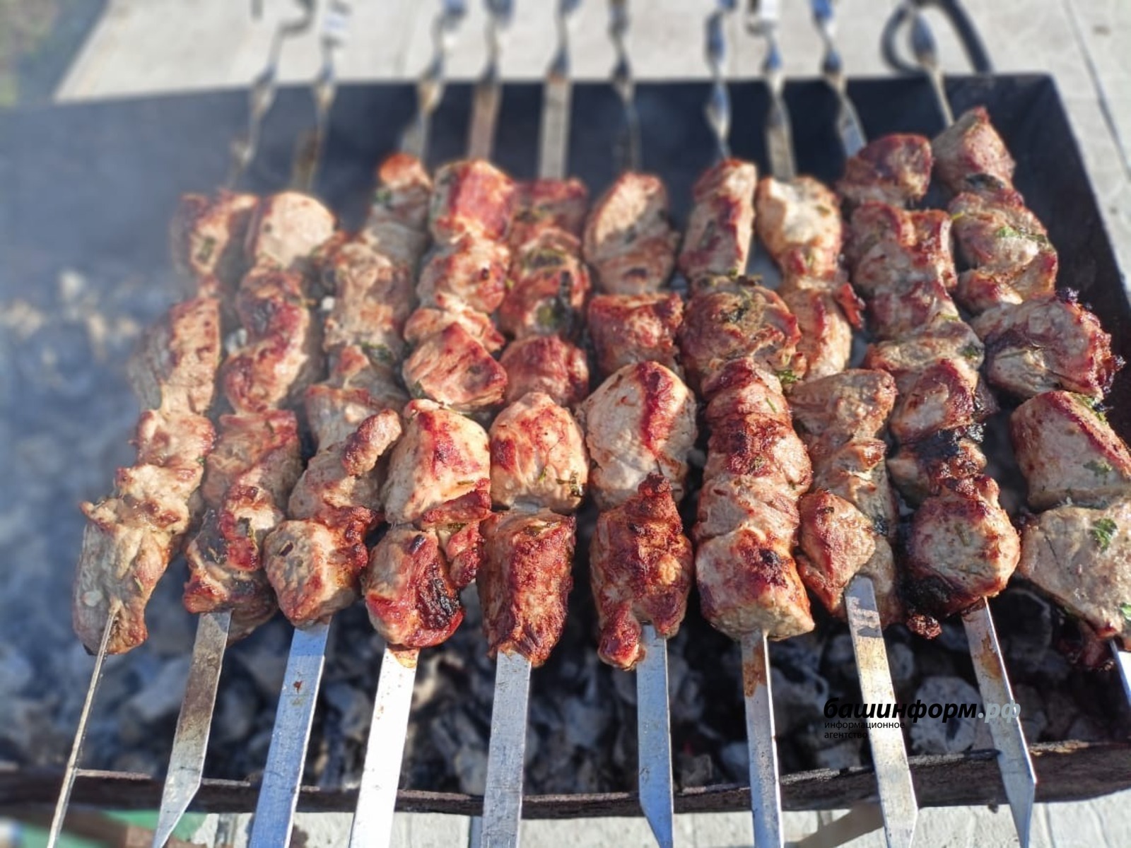 В Башкирии объяснили, где можно жарить шашлыки