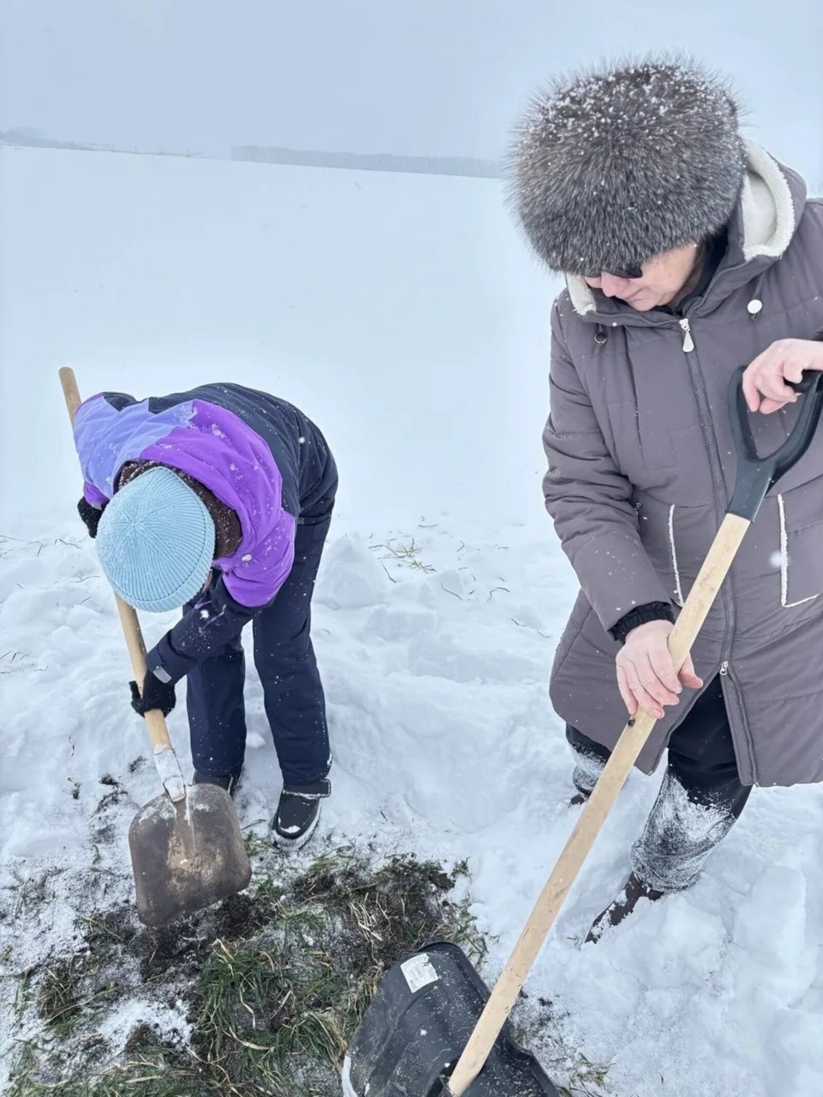 В Туймазинском районе проводят мониторинг озимых культур